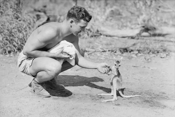 an american soldier with a joey 1942